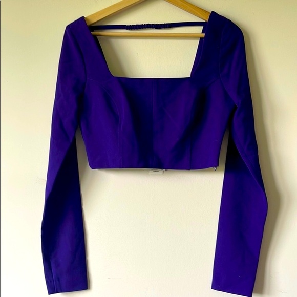 Zara Tops - Zara Purple Crop Top  Long Sleeve Fitted Crop Blouse